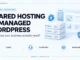 Light illustration of hosting servers and a WordPress dashboard with cost, support, and resources labels.