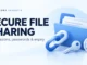 Ryvenora Insights cover reading Secure File Sharing, with a blue folder, chain link, key, and clock on a pale background.