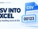 Ryvenora Insights cover reading CSV into Excel and Keep leading zeros & IDs, with an abstract sheet and the fictional identifier 00123 on a light background.