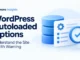 Ryvenora Insights cover reading WordPress Autoloaded Options, Understand the Site Health Warning, with a blue database stack, settings card, and magnifying glass on a pale background.
