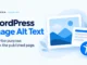 Ryvenora Insights cover reading WordPress Image Alt Text, Describe purpose, and Check the published page, with conceptual image and text cards beside an accessibility symbol on a pale blue background.